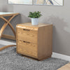 Jual Furnishings Two Drawer Pedestal Oak (Discontinued)