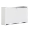 Axton Choctaw Shoe Cabinet With 1 Tilting Door And 1 Layer In White