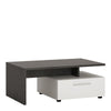 Axton Laconia 2 Drawer Coffee Table in Slate Grey and Alpine White