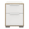 Axton Clason Bedside 2 Drawers in White and Oak