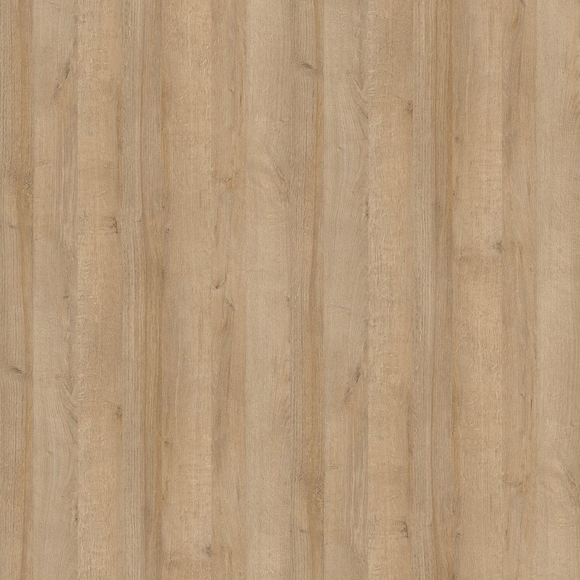 Axton Woodlawn Tall Narrow Display Cabinet (RHD) In Riviera Oak/White High Gloss